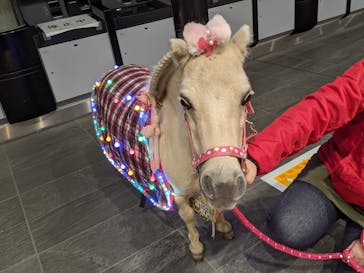 東京メガイルミに投稿された画像（2020/11/7）