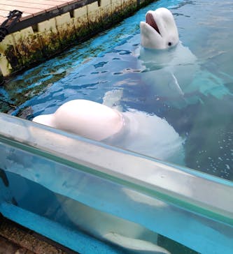 横浜・八景島シーパラダイスに投稿された画像（2020/11/7）