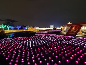 東京メガイルミに投稿された画像（2020/11/7）