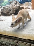 伊豆シャボテン動物公園に投稿された画像（2020/11/7）