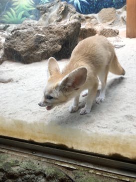 伊豆シャボテン動物公園に投稿された画像（2020/11/7）