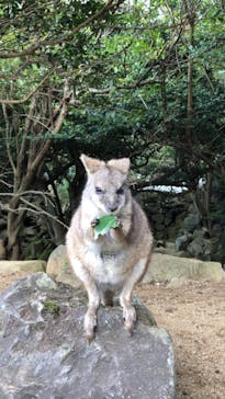 伊豆シャボテン動物公園に投稿された画像（2020/11/7）