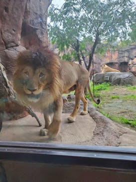 天王寺動物園に投稿された画像（2020/11/7）