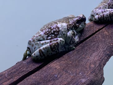 サンシャイン水族館に投稿された画像（2020/11/7）