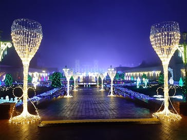 神戸イルミナージュに投稿された画像（2020/11/7）