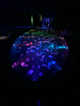 すみだ水族館に投稿された画像（2020/11/7）