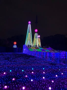 よみうりランド 遊園地に投稿された画像（2020/11/7）