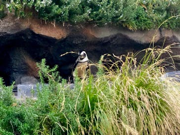 サンシャイン水族館に投稿された画像（2020/11/7）