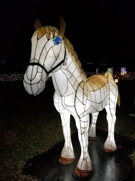 東京メガイルミに投稿された画像（2020/11/7）