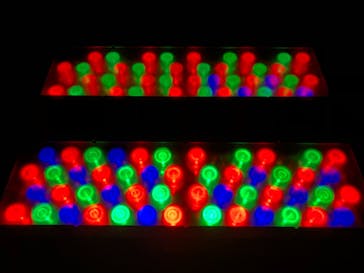 江の島シーキャンドルに投稿された画像（2020/11/7）