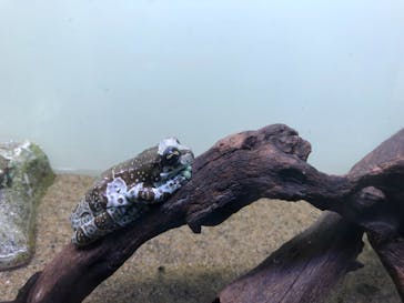 サンシャイン水族館に投稿された画像（2020/11/7）