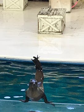 鳥羽水族館に投稿された画像（2020/11/7）