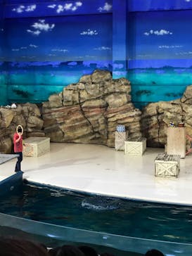 鳥羽水族館に投稿された画像（2020/11/7）