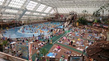 東京サマーランドに投稿された画像（2020/11/7）