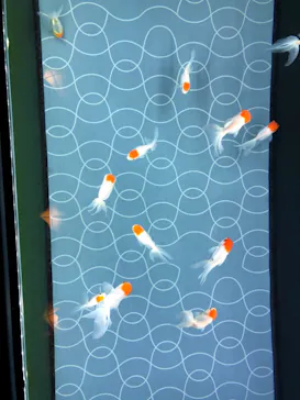 すみだ水族館に投稿された画像（2020/11/8）