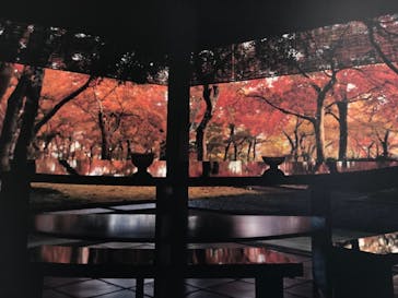 箱根美術館に投稿された画像（2020/11/8）