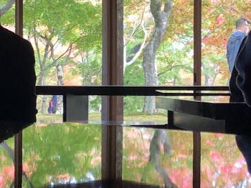 箱根美術館に投稿された画像（2020/11/8）