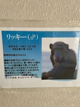 天王寺動物園に投稿された画像（2020/11/8）
