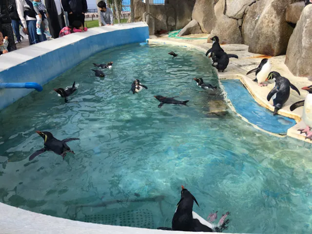 C さまが 11 8 日に投稿した口コミ アソビュー