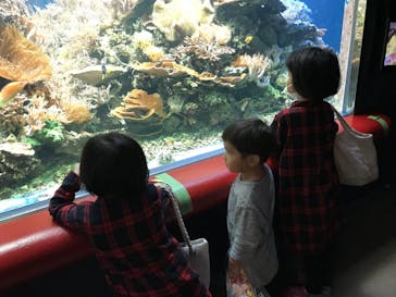 株式会社Gに投稿された画像（2020/11/8）