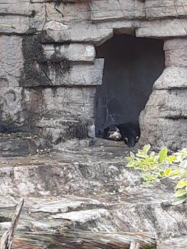 天王寺動物園に投稿された画像（2020/11/8）