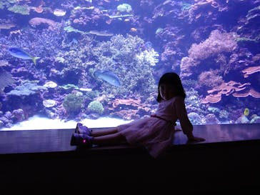 大分マリーンパレス水族館 「うみたまご」に投稿された画像（2020/11/8）