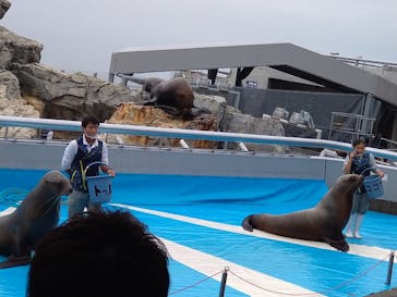 大分マリーンパレス水族館 「うみたまご」に投稿された画像（2020/11/8）