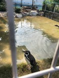 天王寺動物園に投稿された画像（2020/11/8）