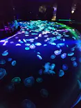 すみだ水族館に投稿された画像（2020/11/8）
