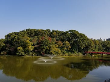 天王寺動物園に投稿された画像（2020/11/8）