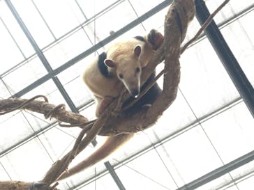 神戸どうぶつ王国に投稿された画像（2020/11/8）