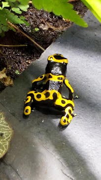 サンシャイン水族館に投稿された画像（2020/11/8）