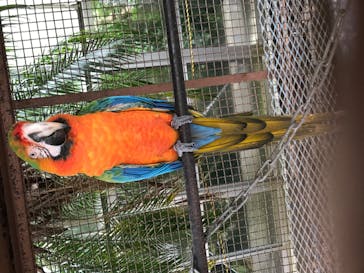 熱川バナナワニ園に投稿された画像（2020/11/8）