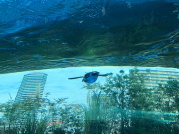 サンシャイン水族館に投稿された画像（2020/11/8）