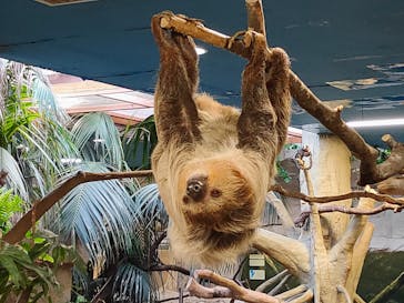 那須どうぶつ王国に投稿された画像（2020/11/8）