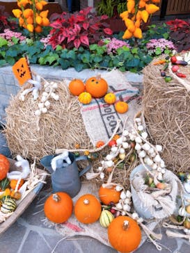 安城産業文化公園デンパークに投稿された画像（2020/11/8）