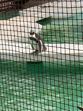 天王寺動物園に投稿された画像（2020/11/8）