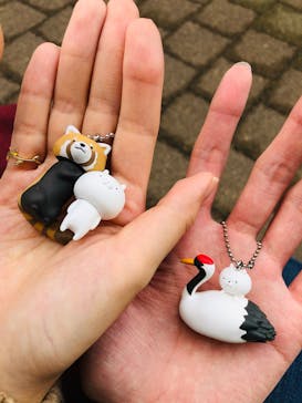 天王寺動物園に投稿された画像（2020/11/8）