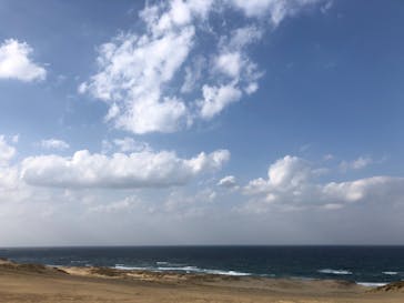 鳥取砂丘パラグライダー体験スクール（砂丘本舗）に投稿された画像（2020/11/8）