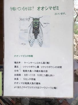 今帰仁城跡に投稿された画像（2020/11/8）