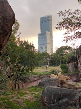 天王寺動物園に投稿された画像（2020/11/8）