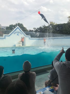 しながわ水族館に投稿された画像（2020/11/8）