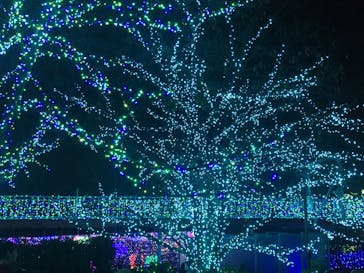 よみうりランド 遊園地に投稿された画像（2020/11/8）