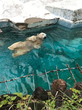 天王寺動物園に投稿された画像（2020/11/8）