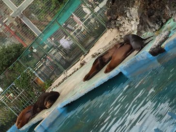 天王寺動物園に投稿された画像（2020/11/8）