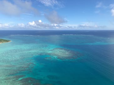 ブルーオーシャンクラブに投稿された画像（2020/11/8）