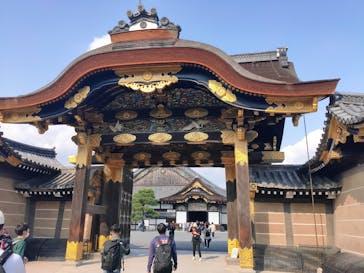 元離宮二条城に投稿された画像（2020/11/8）