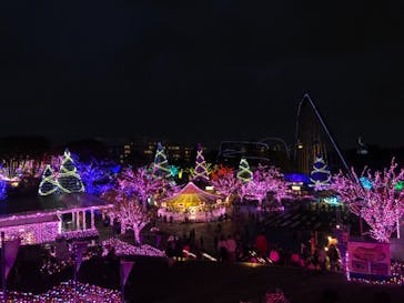 よみうりランド 遊園地に投稿された画像（2020/11/8）