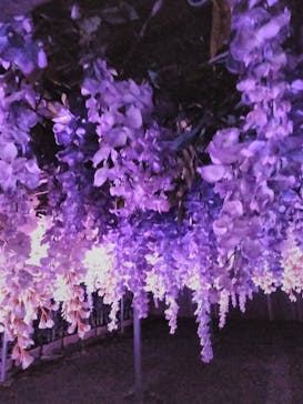 東京メガイルミに投稿された画像（2020/11/8）