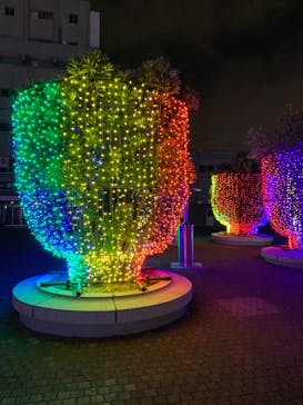 東京メガイルミに投稿された画像（2020/11/8）